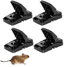 Mouse Trap (3pis) ৩ পিস নিলে ১ পিস ফ্রী